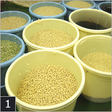 大豆を洗浄し水に一晩浸す工程