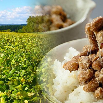 高級納豆ギフト 【こまちセット】送料無料 8袋 男鹿半島の塩・みそ