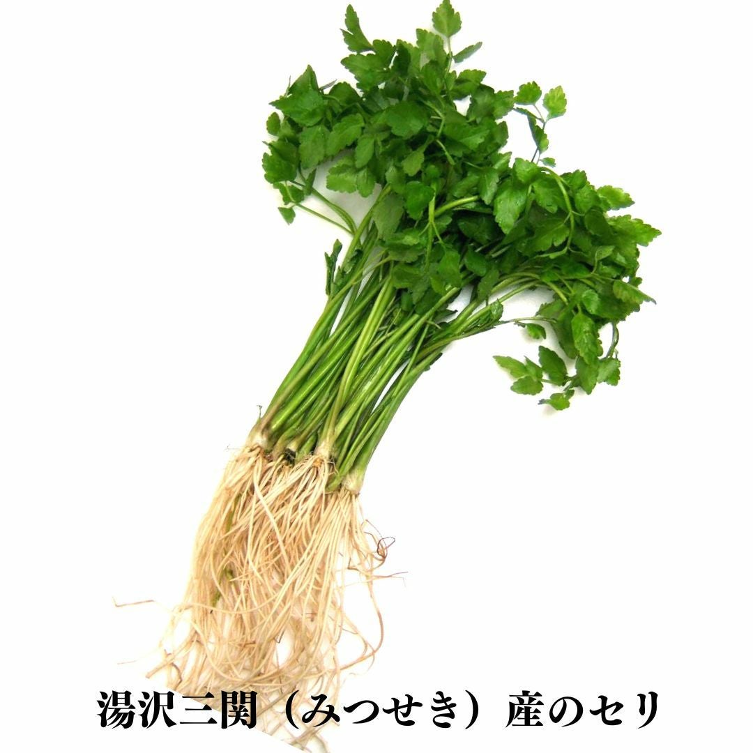 追加専用】秋田三関（みつせき）せり 1把（約100g） | 高級納豆専門